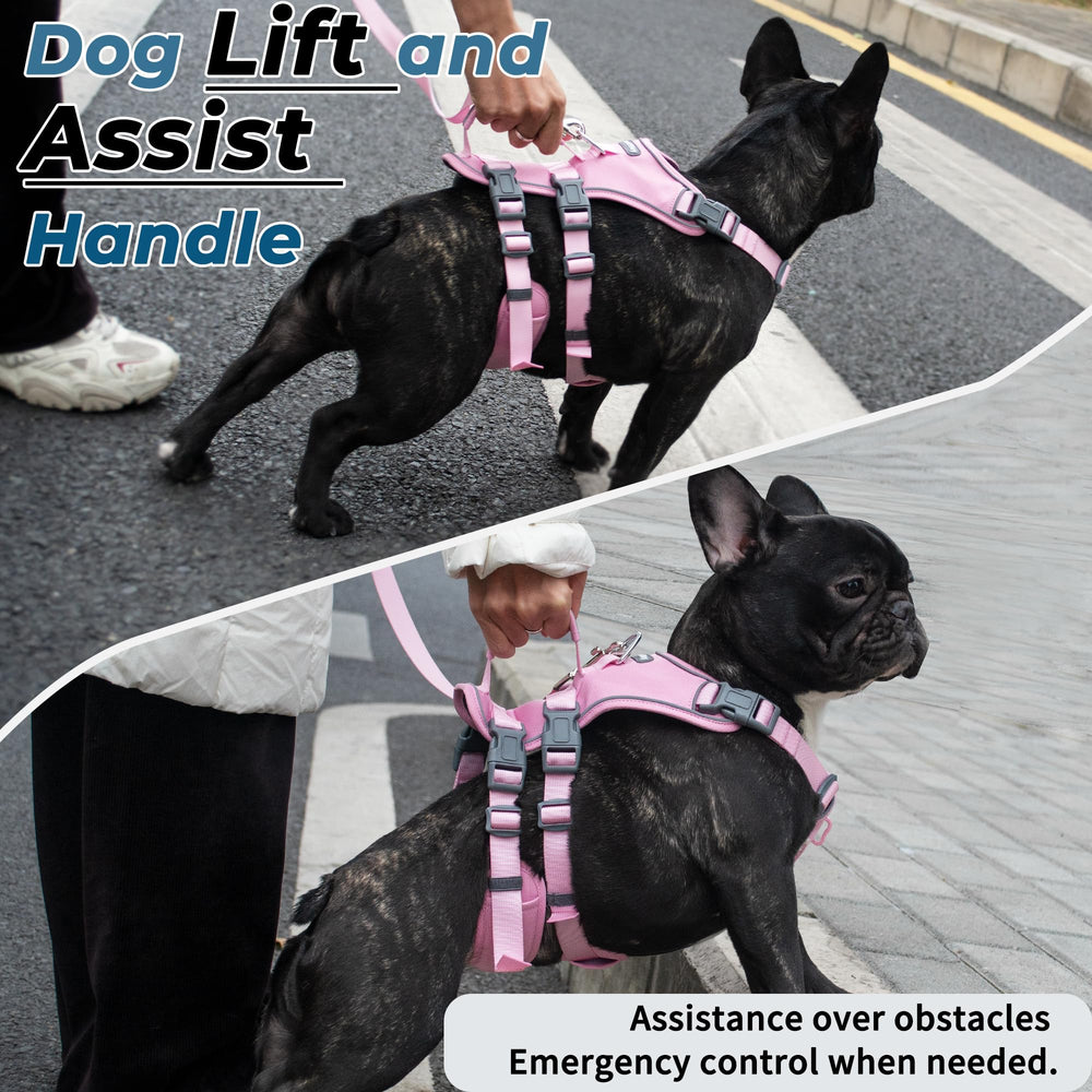 Wuffley ajustes de 5 puntos rosa XS para un calce cómodo y estable.