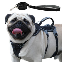 Wuffley arnés canino a prueba de escapadas para paseos seguros