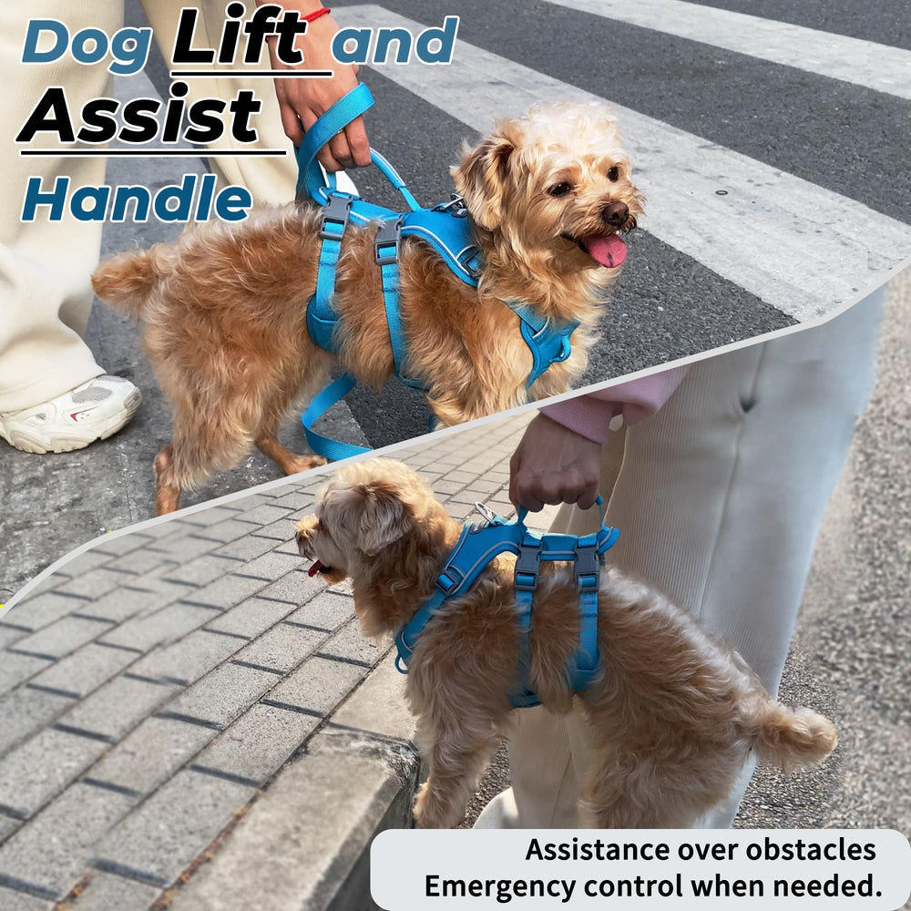 Wuffley asa de asistencia para ayudar al perro a superar obstáculos.