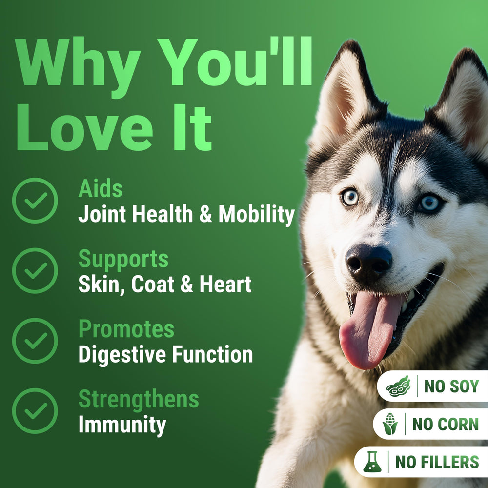 WuffWell con spirulina y chlorella fuentes naturales de antioxidantes para energía.