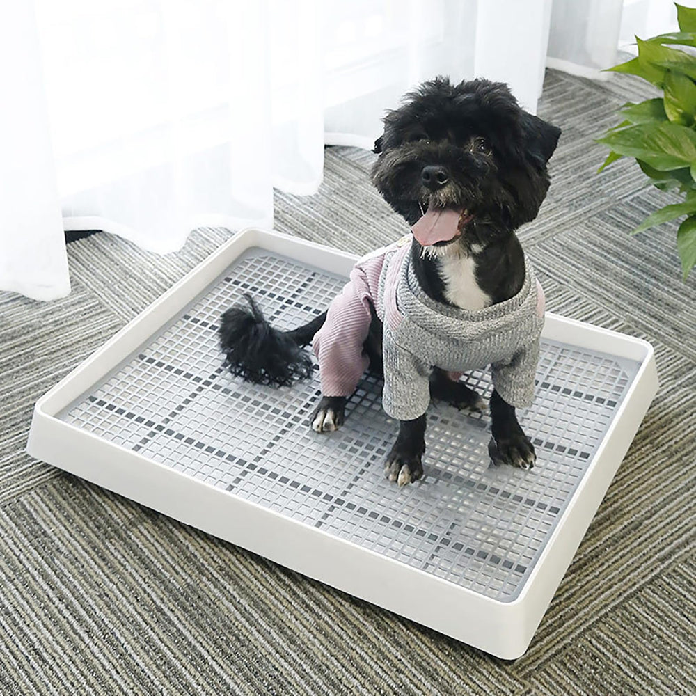WUWEOT caja arenero conejo material plástico resistente para uso a largo plazo