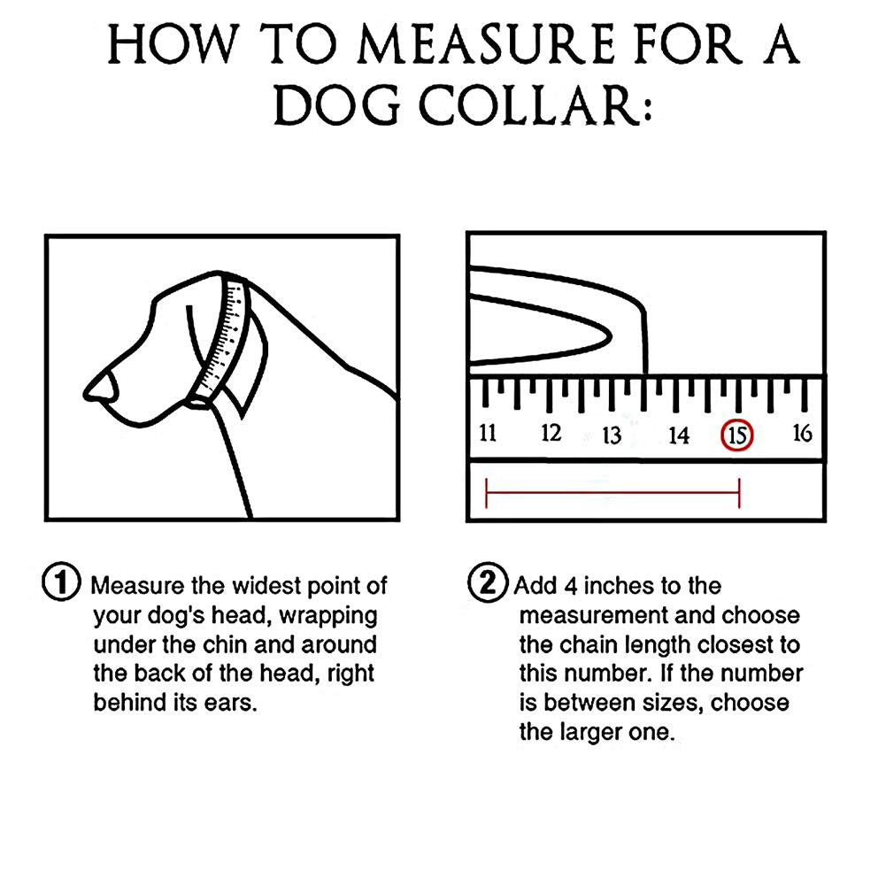 W/W Lifetime collar para perro, talla ajustable para razas pequeñas y medianas.