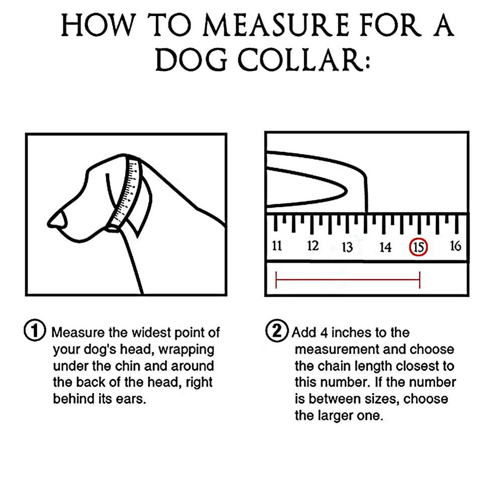 W/W Lifetime collar para perro, talla ajustable para razas pequeñas y medianas.
