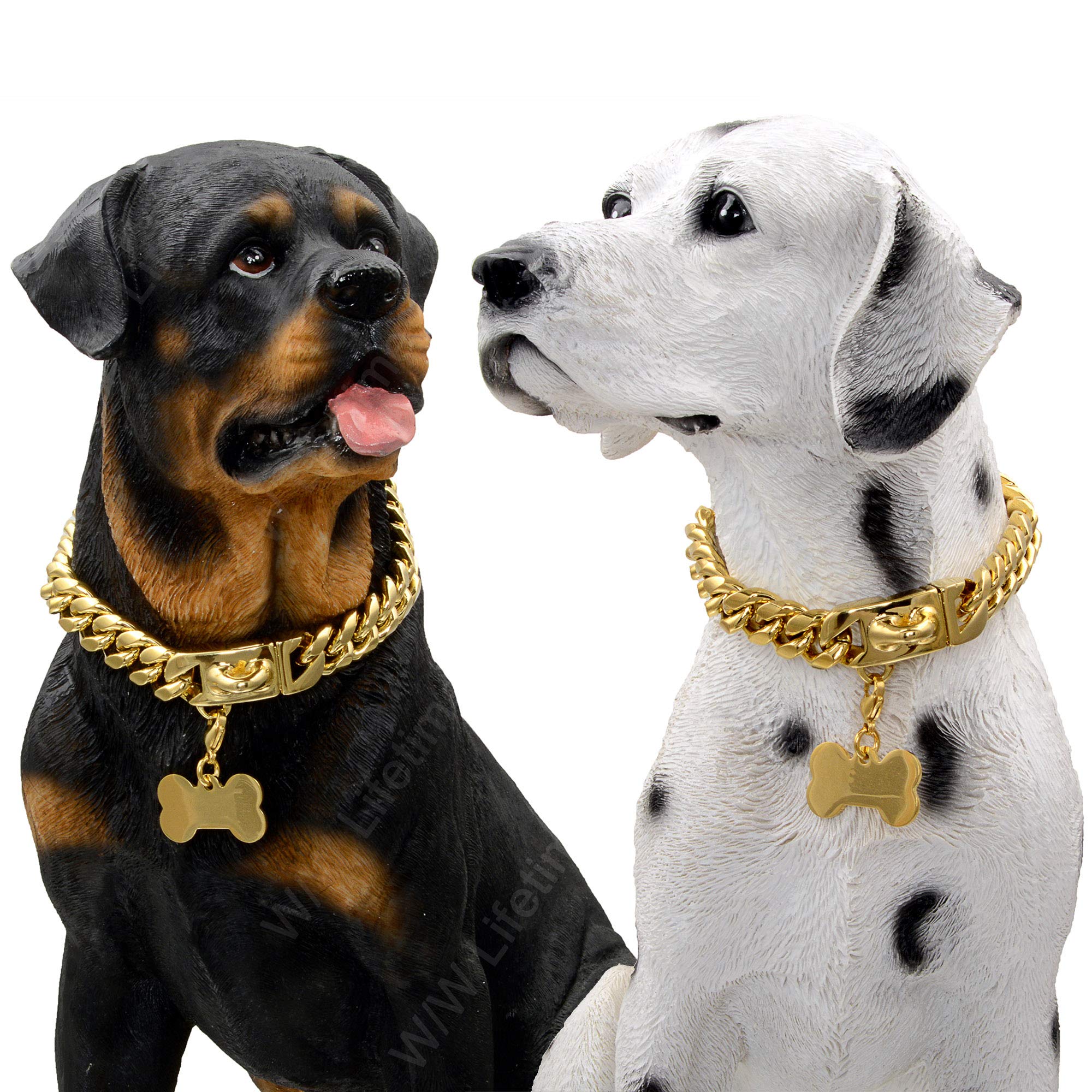 Diseño robusto para perros que muerden, alta durabilidad