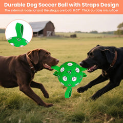 Balón para perros WYNTRIUM flotando en agua, ideal para uso en piscina.