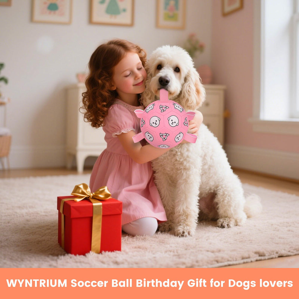 WYNTRIUM balón con bomba incluida para inflarlo y jugar de inmediato.