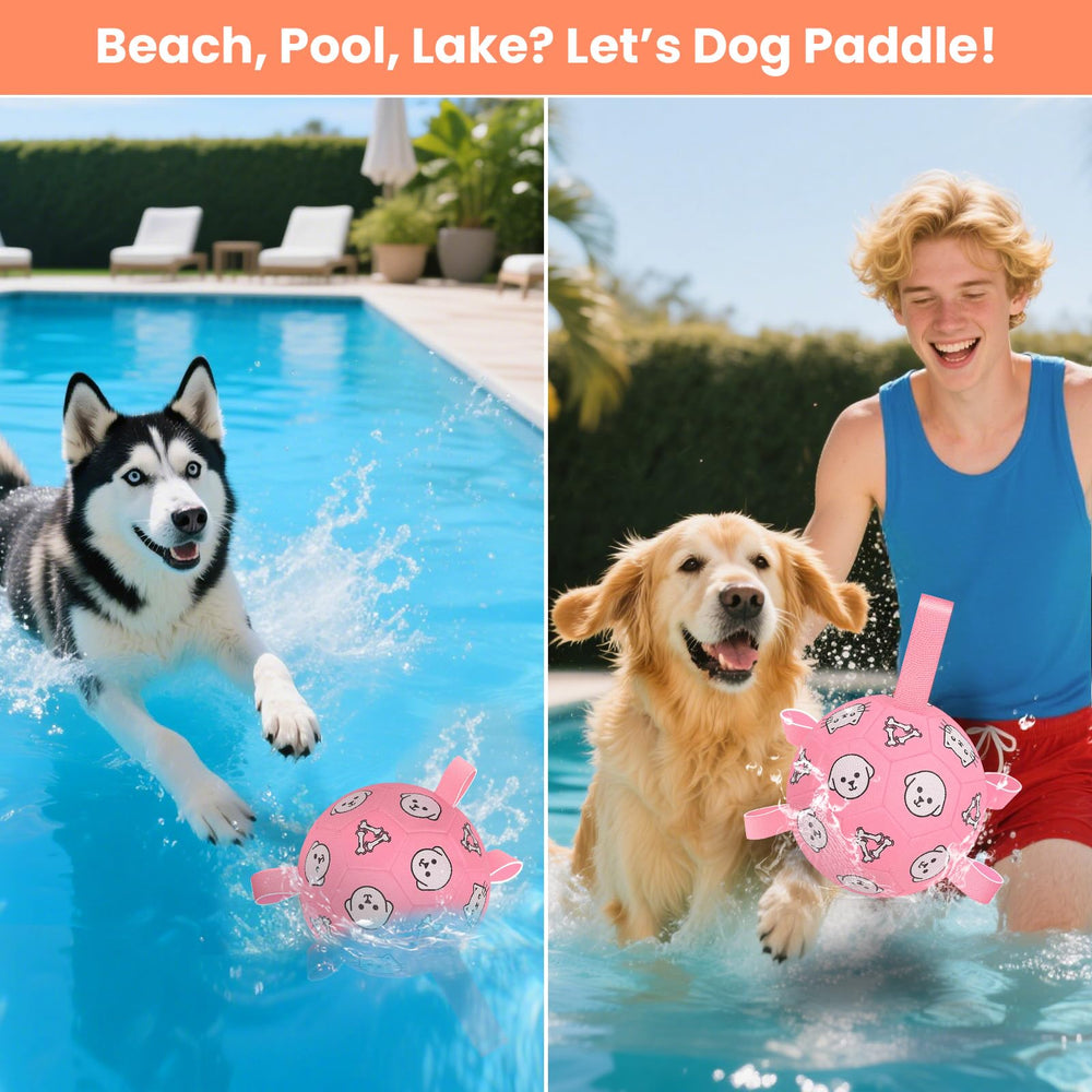 WYNTRIUM balón regalo ideal para perros pequeños y medianos.