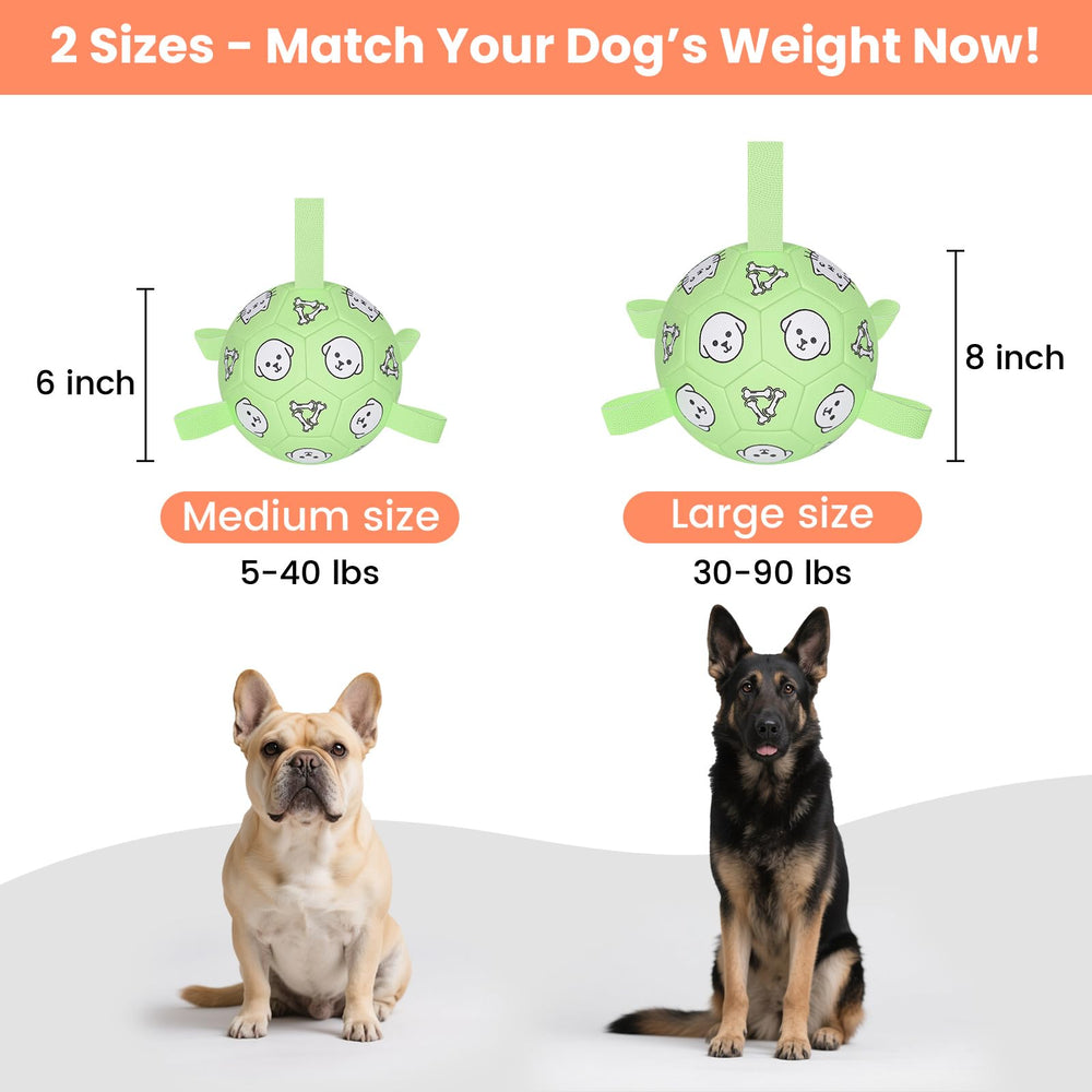 Bola de perro Wyntrium en colores vibrantes para juego dinámico