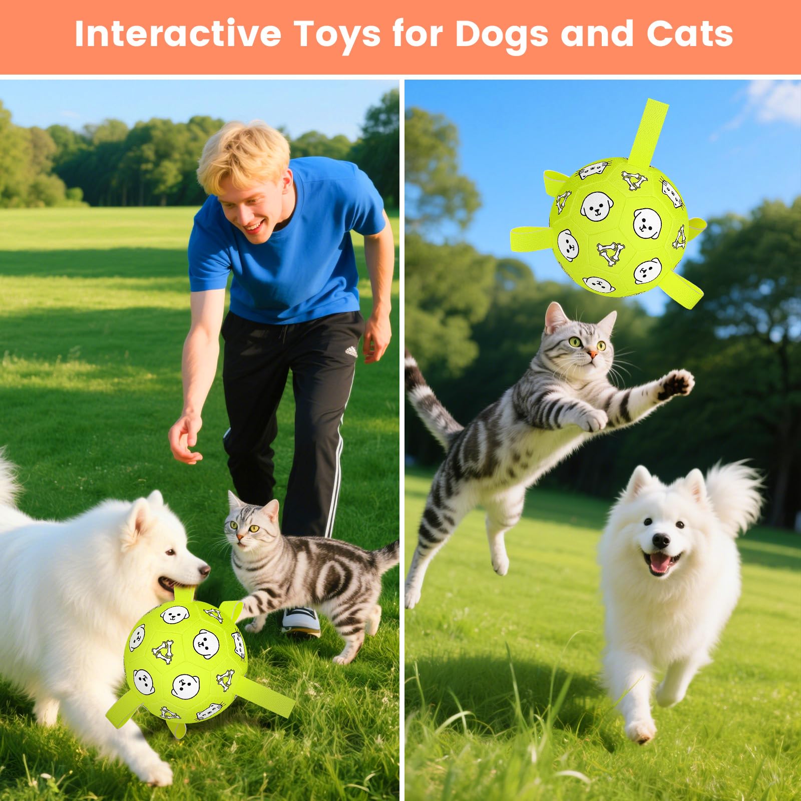 Regalo ideal WYNTRIUM para perros medianos y grandes.