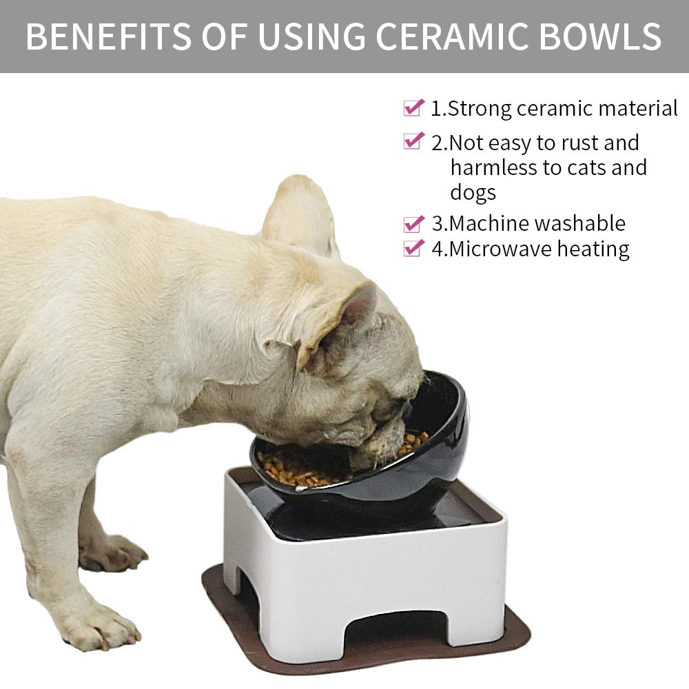 Ideal para perros y gatos pequeños y medianos