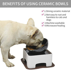 Ideal para perros y gatos pequeños y medianos