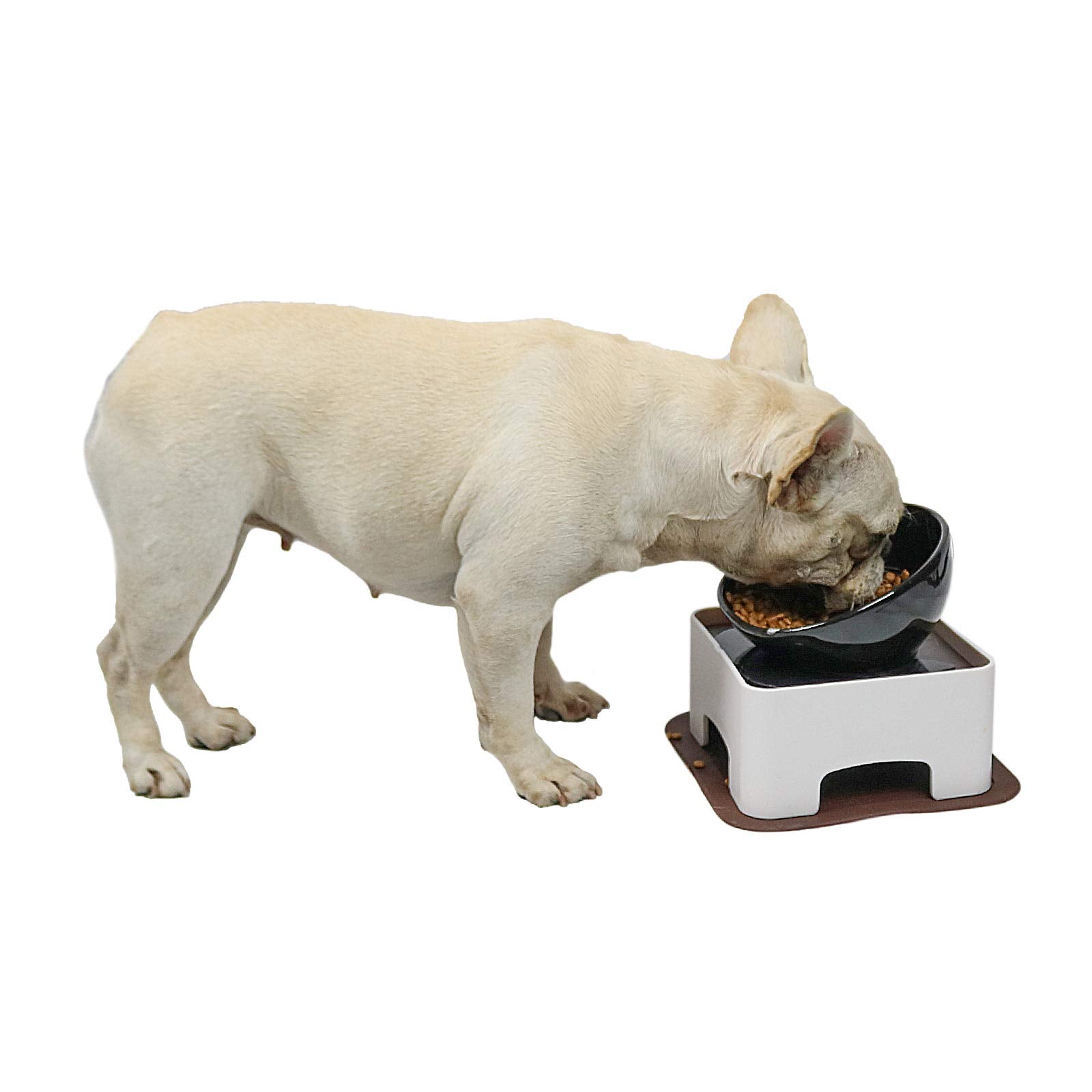 Plato elevado WZ PET cuenco cerámico para perros pequeños