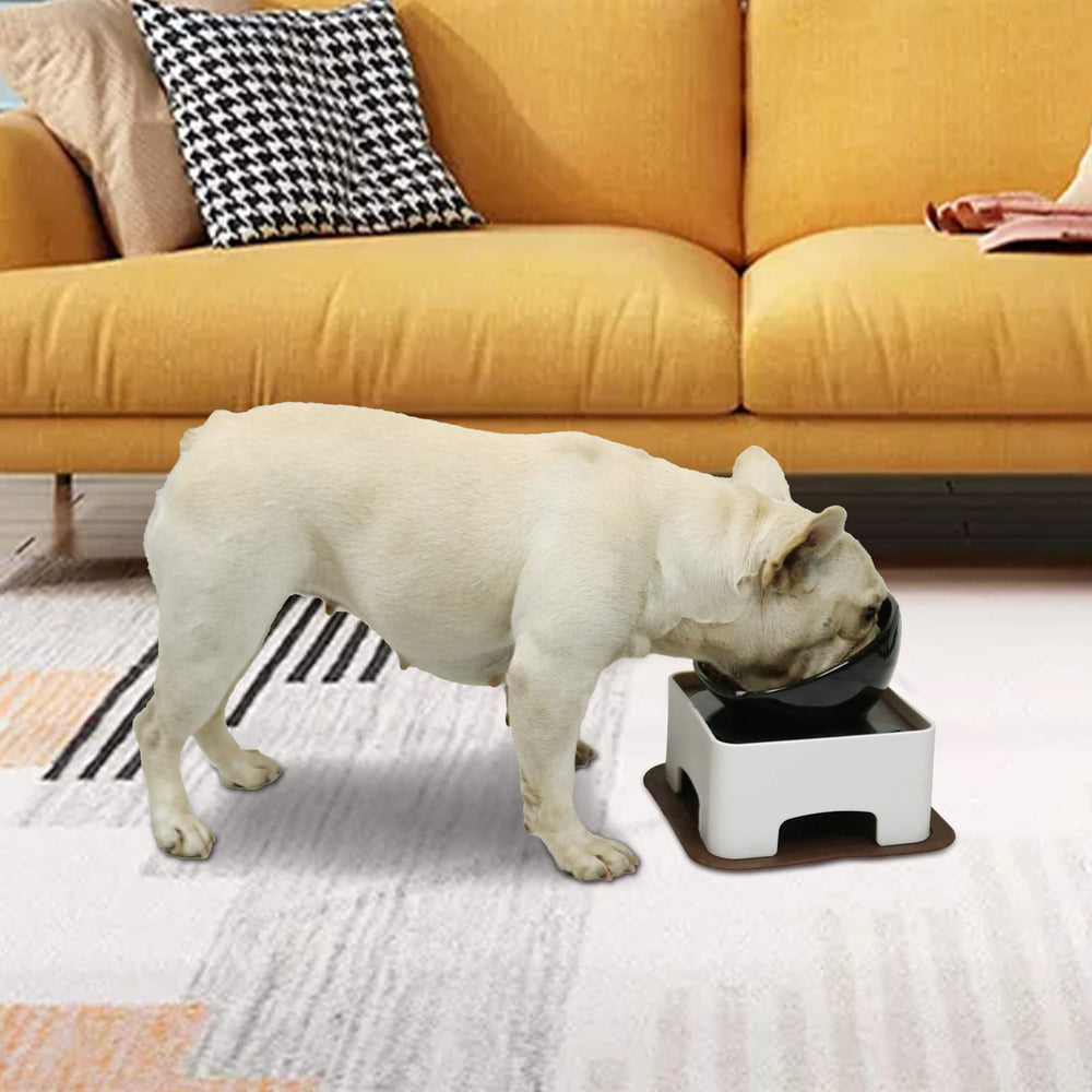 Uso diario en casa con diseño elegante de WZ PET