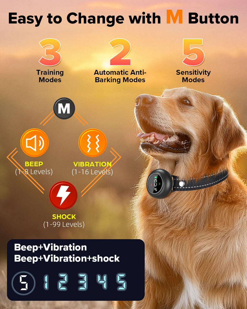 XDX collar ajustable 8–25 pulgadas para perros de todos tamaños.