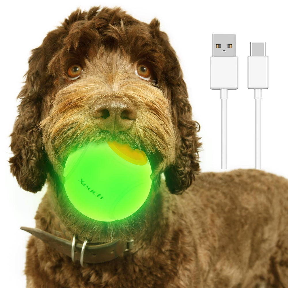 Xeuch bola perro limpieza rápida con agua para mantenimiento sencillo