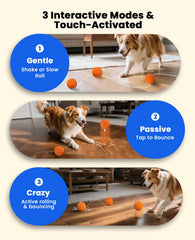 Xeuch BOLA para perros, carcasa ligera ETPU, seguridad y rebote suave