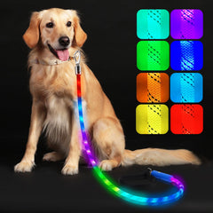 Xeuch correa LED para perro con luz nocturna frontal