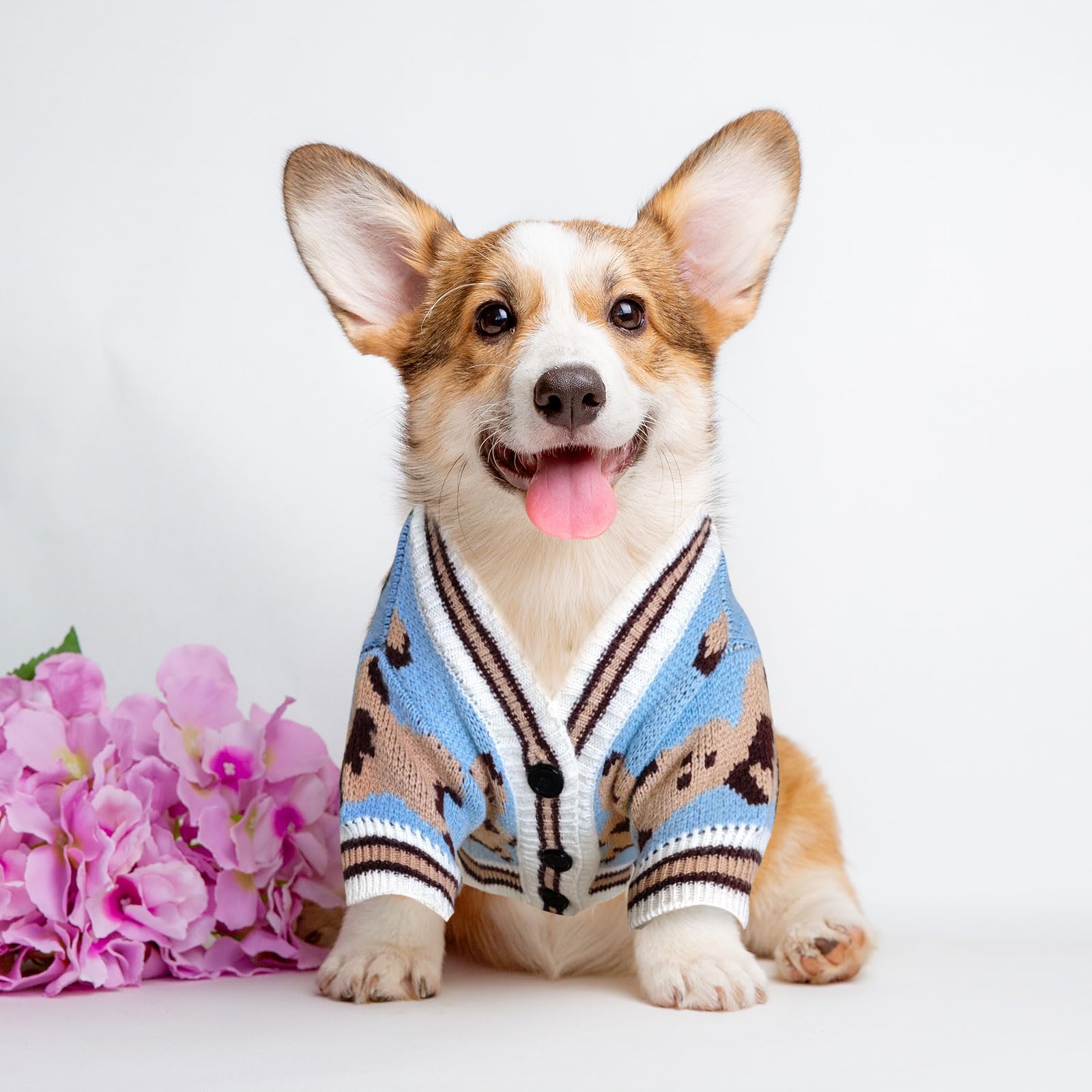 XGDMEL ideal para perros y gatos, estilo versátil para ocasiones.