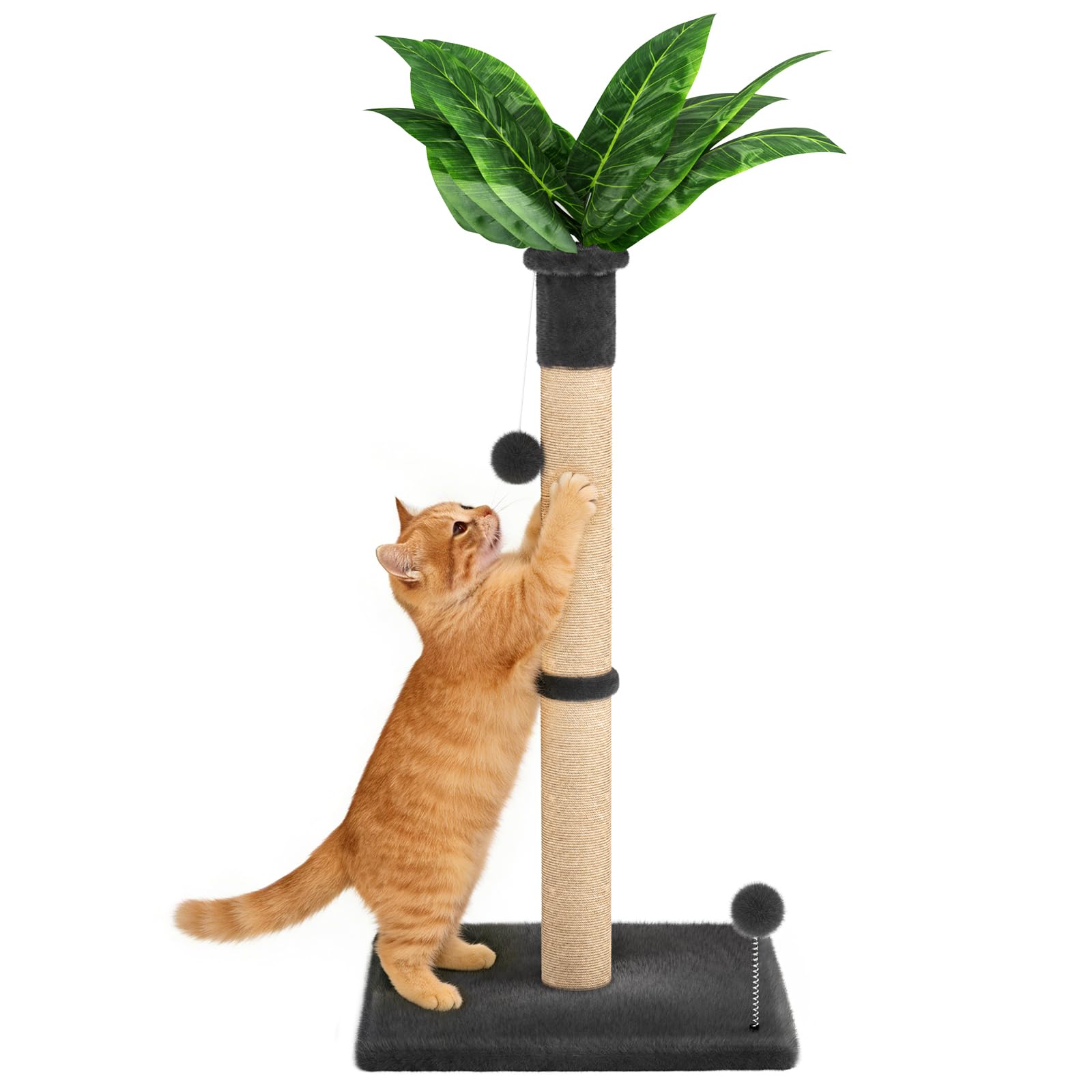 XiaZ base with stable wide platform supports multiple cats and prevents tipping.