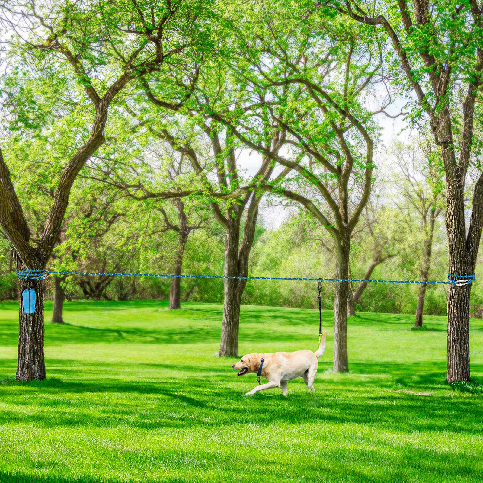 XiaZ bolsa de transporte ligera para guardar el sistema de cable para perros.