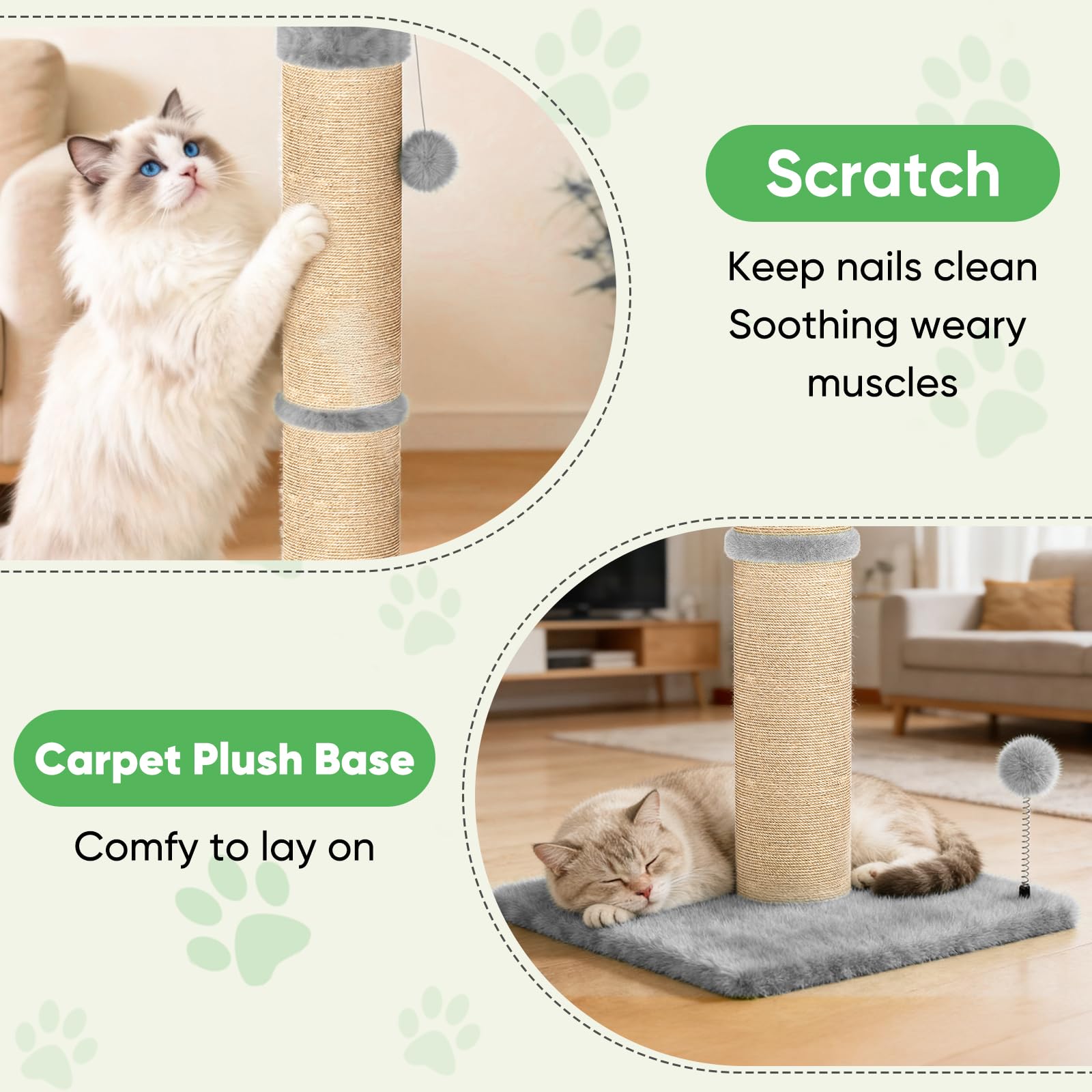 XiaZ poste 2.8 pulgadas ideal para gatos pequeños y medianos.