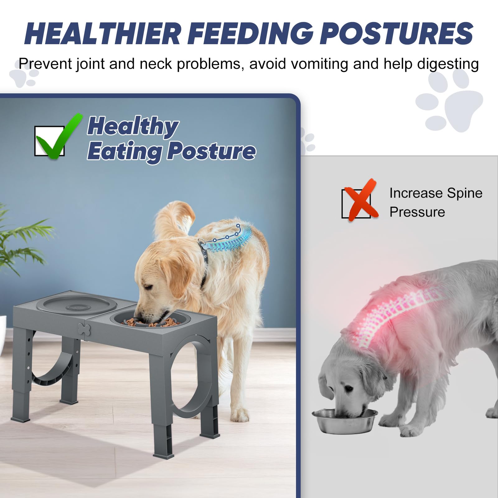 XIAZ tazón para perro con base antideslizante que evita deslizamientos durante la comida.