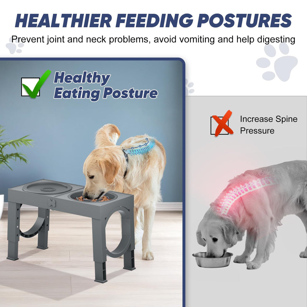 XIAZ tazón para perro con base antideslizante que evita deslizamientos durante la comida.