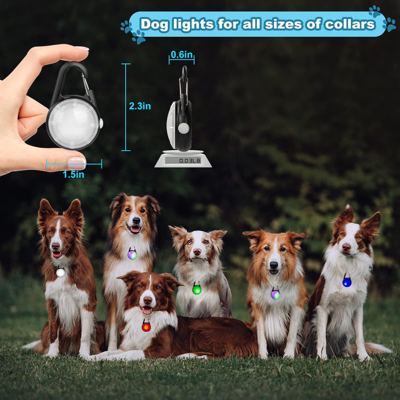 Tamaño compacto de XIEYOUWXS para ajuste cómodo en cualquier collar.