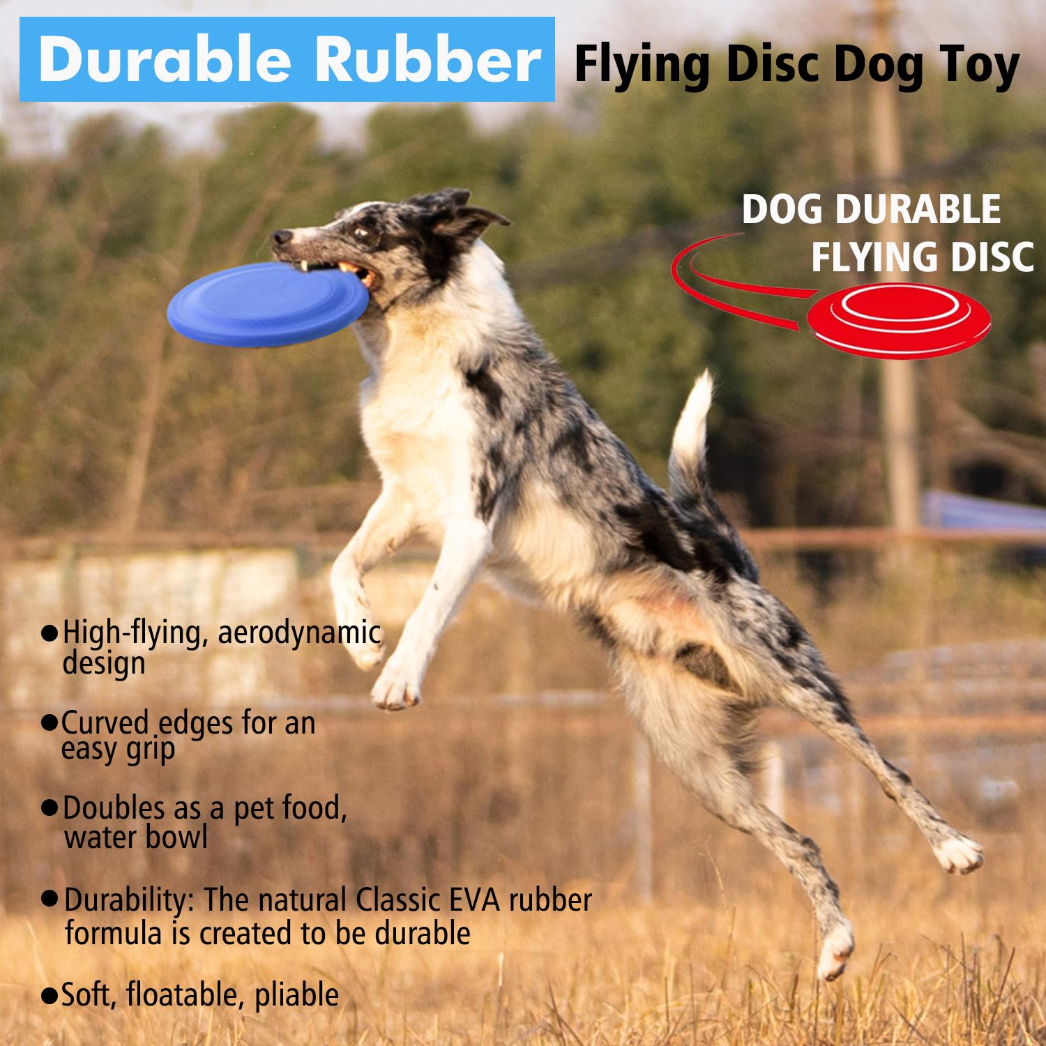 Disco volador para entrenamiento de perros, mejora la coordinacion.