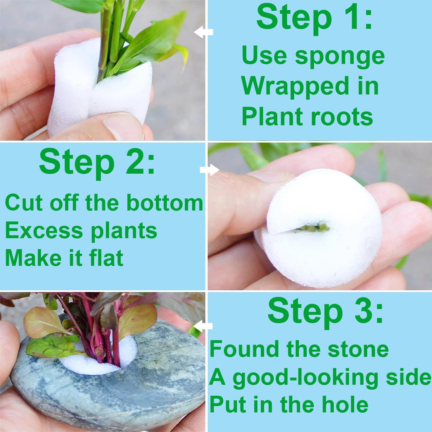 XIOFU solución natural para fijar varias plantas y organizar el paisaje.