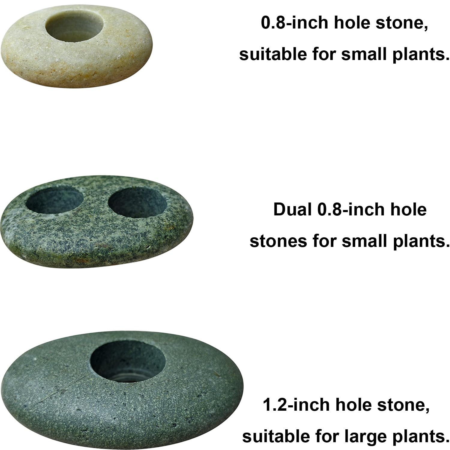 XIOFU ideal para Anubias y Helecho de Java gracias al diámetro de los orificios.