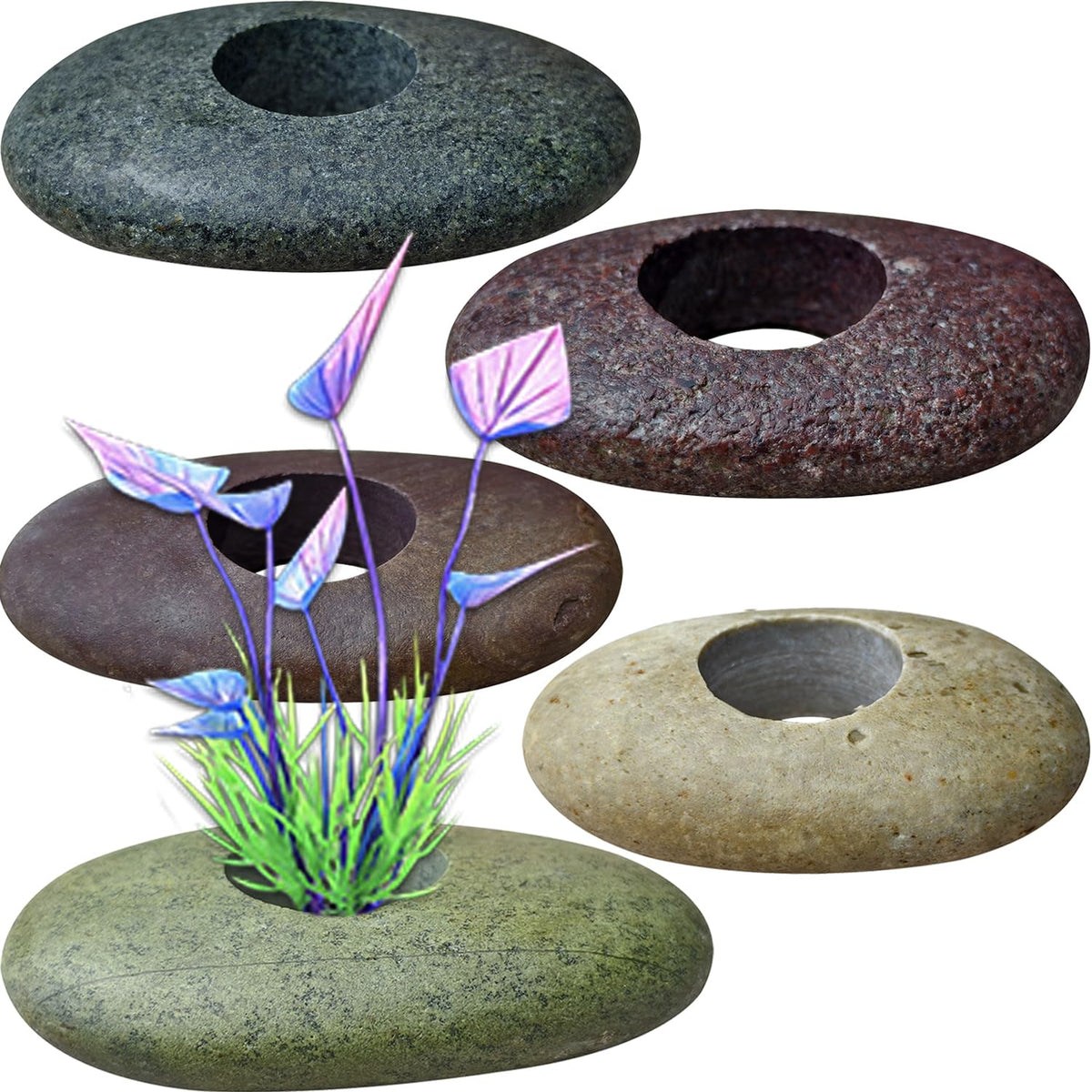 Piedras de río naturales XIOFU para fijar plantas en acuario.