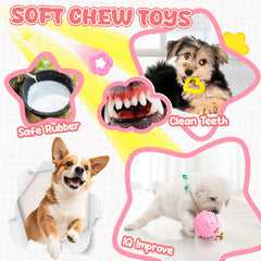 Cuerda de juego xiugoal para perro, fomenta juego interactivo.