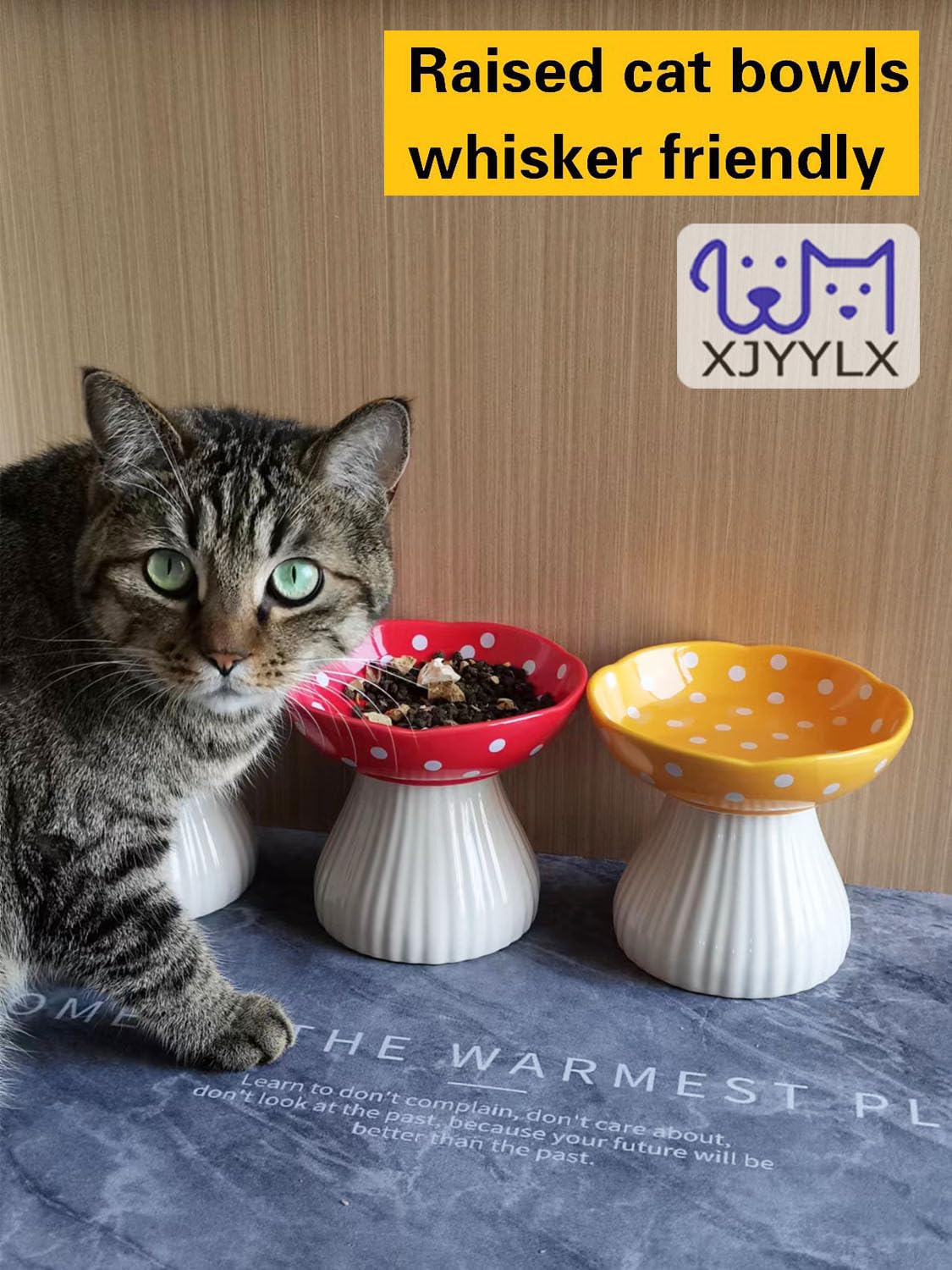 XJYYLX tazón gato elevado para comida y agua, base estable.