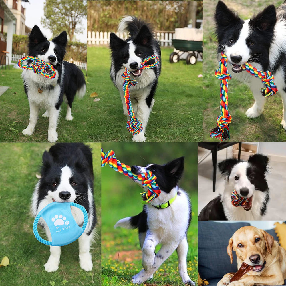 XLMYS set-juguetes-perro-actividades-interactivas: variedad para juego interno y exterior.