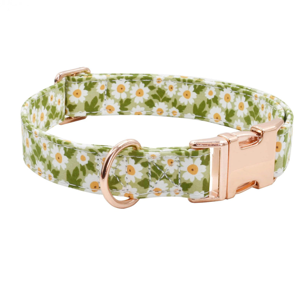 XPangle collar-perro bowtie-separable: toque elegante y versátil para cualquier paseo.