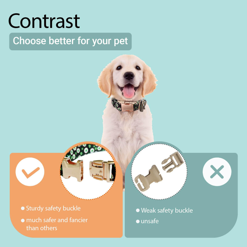 XPangle diseño único realza la personalidad de tu perro en paseos.