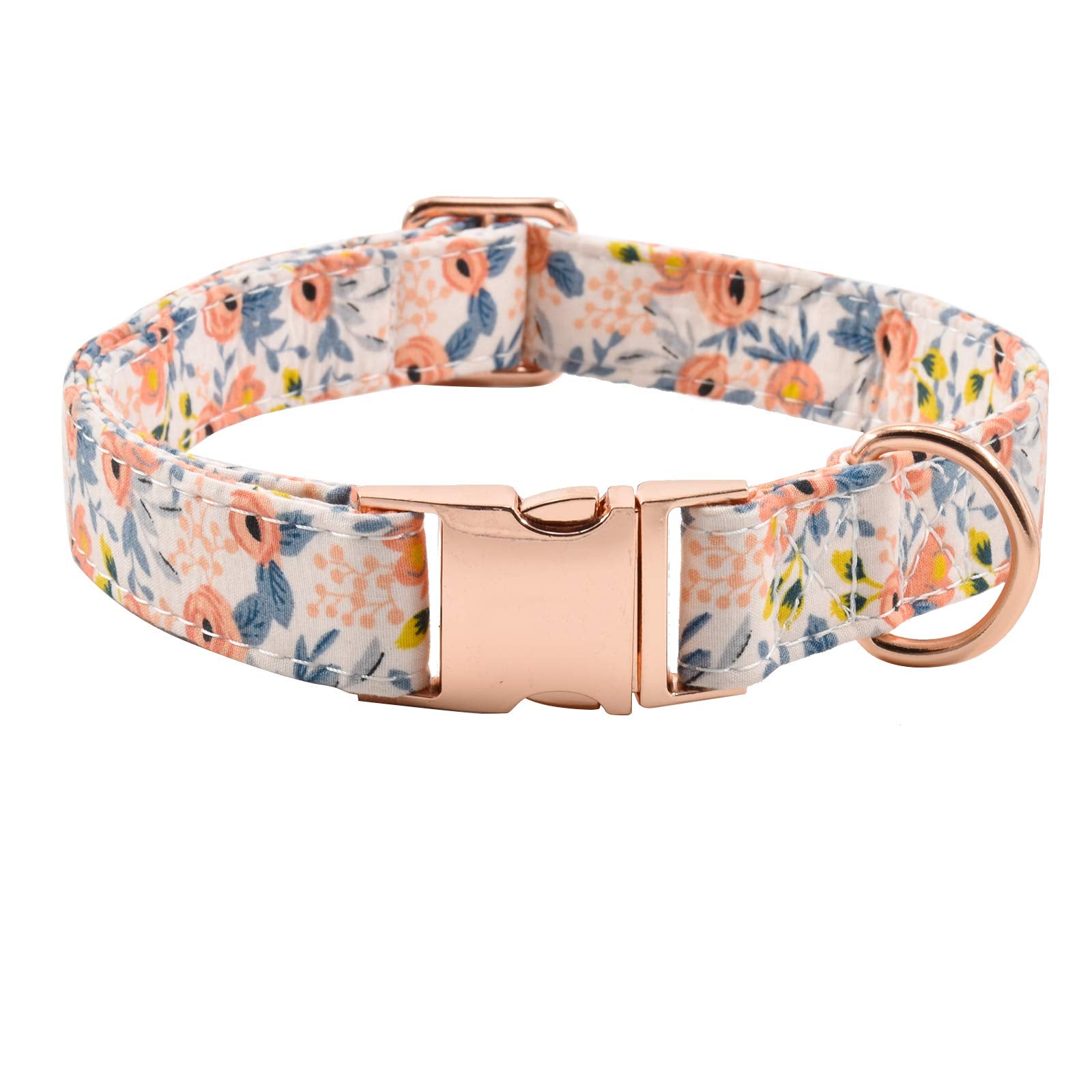 XPangle collar para perro con hebilla metalica: ajuste seguro para paseos.