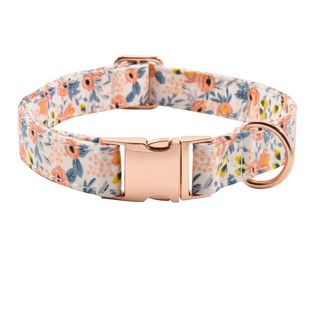 XPangle collar para perro con hebilla metalica: ajuste seguro para paseos.