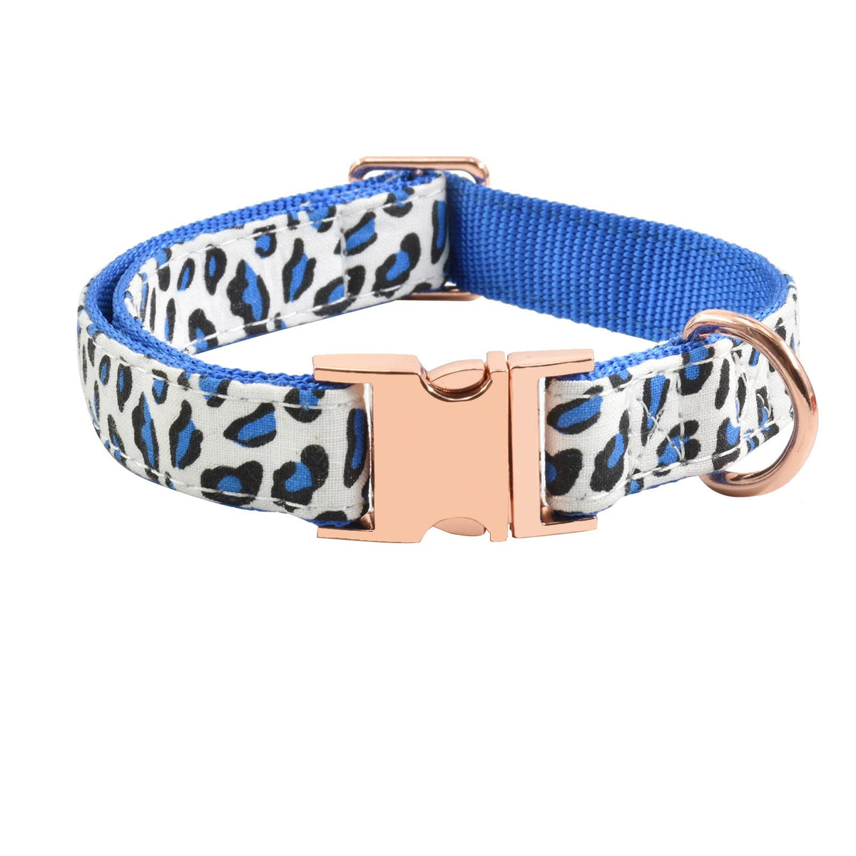 Collar XPangle con hebilla de metal para paseos diarios