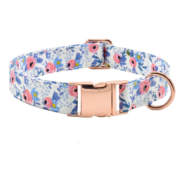 XPangle collar para perro con hebilla metálica ajustable para uso diario y paseos seguros