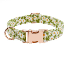 XPangle collar-perro hebilla-metalica-ajuste: cierre duradero para paseos diarios.