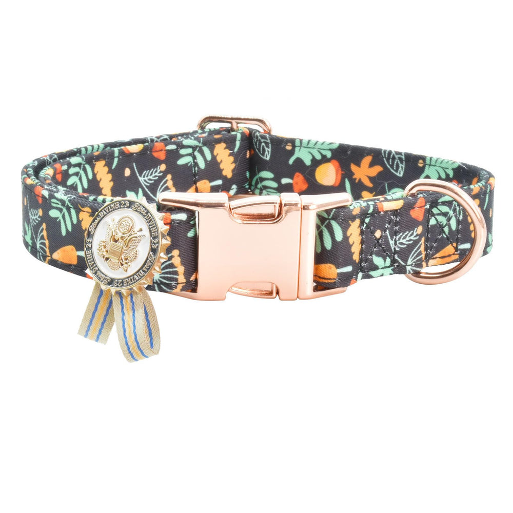 Collar XPangle con hojas para perro, diseño único para paseos con estilo.