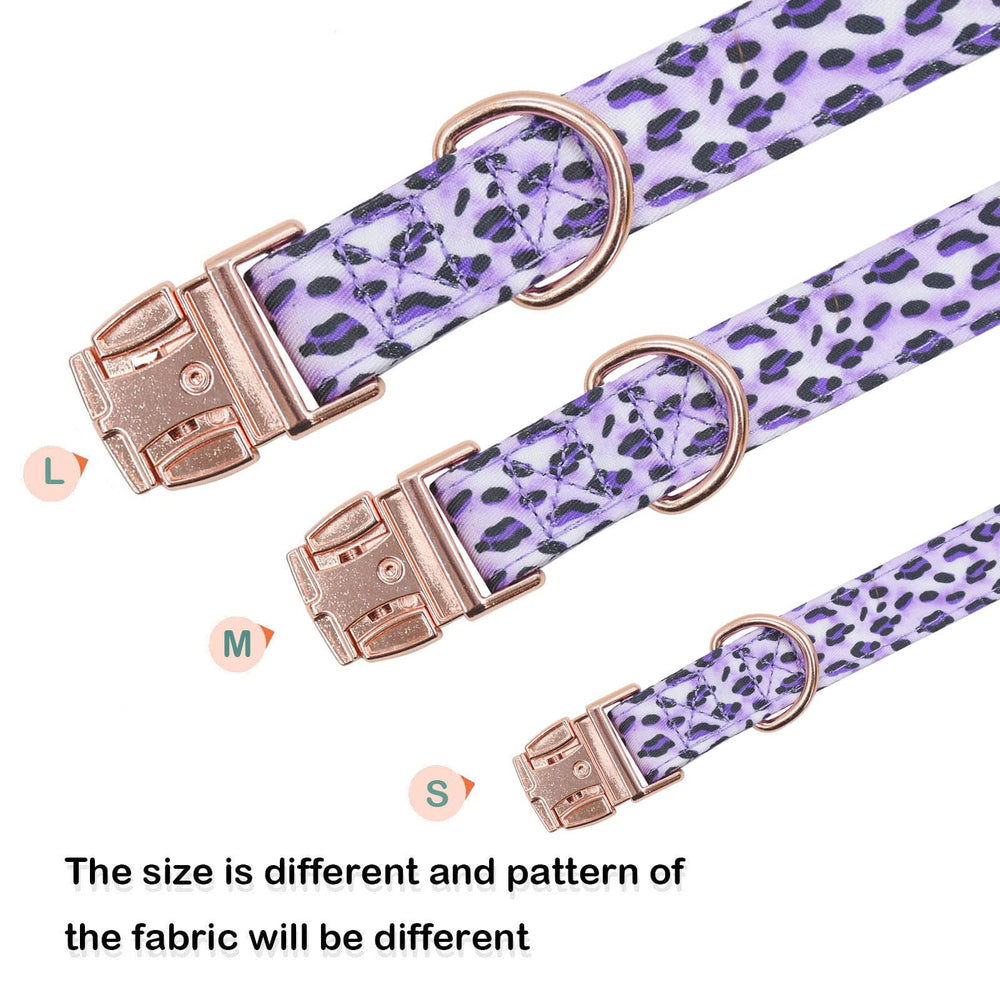 XPangle collar fácil de lavar, cuidado rápido tras cada paseo.