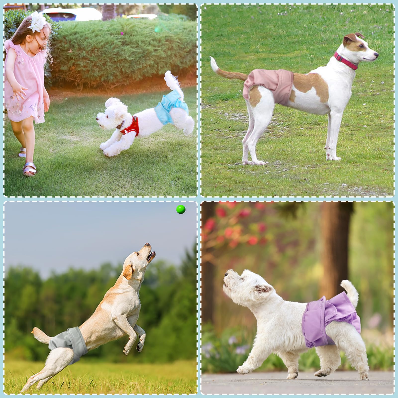 XPCARE colores y tallas variados para cada perrita