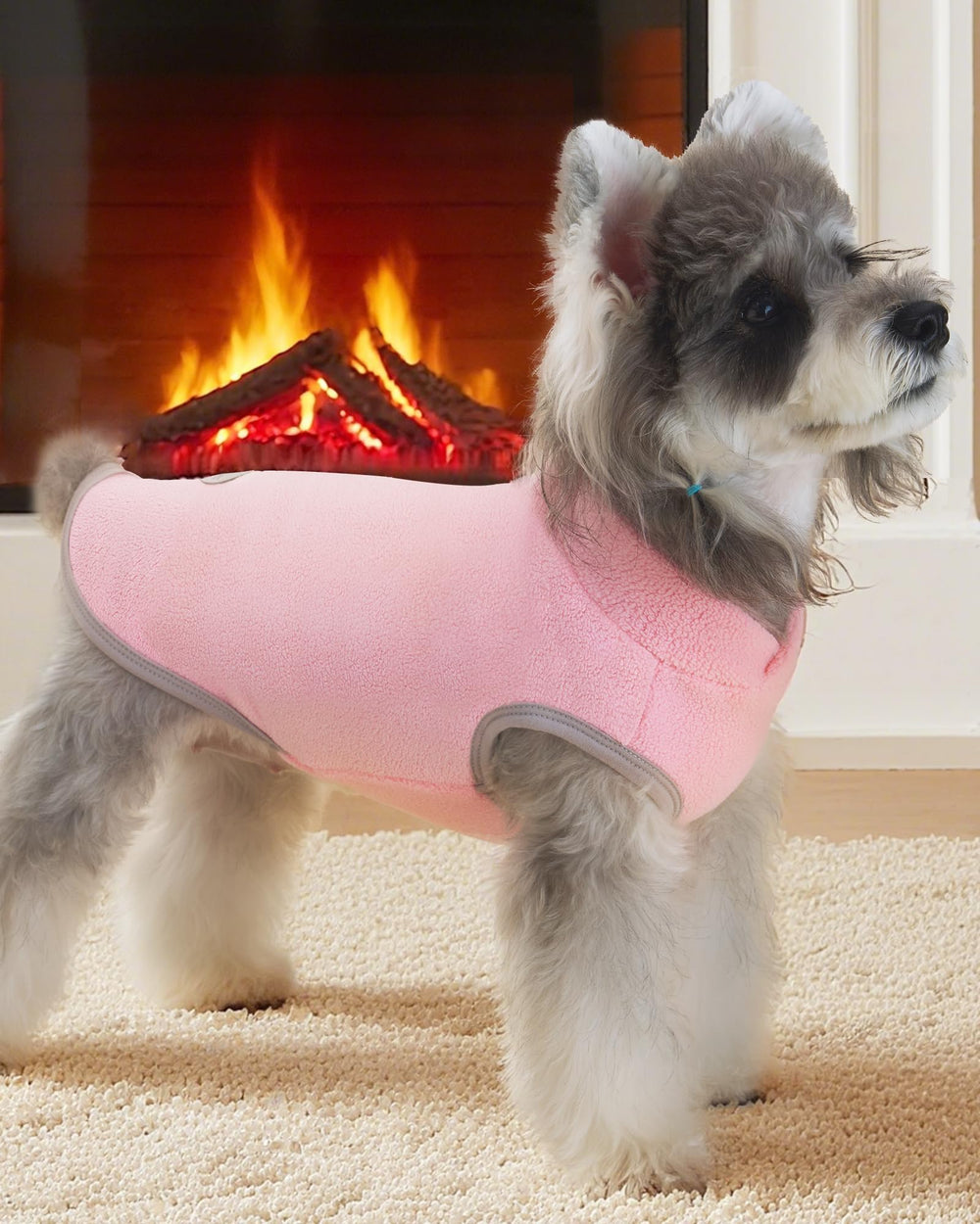 XPUDAC chaleco perro invierno sin mangas, libertad de movimiento para jugar.