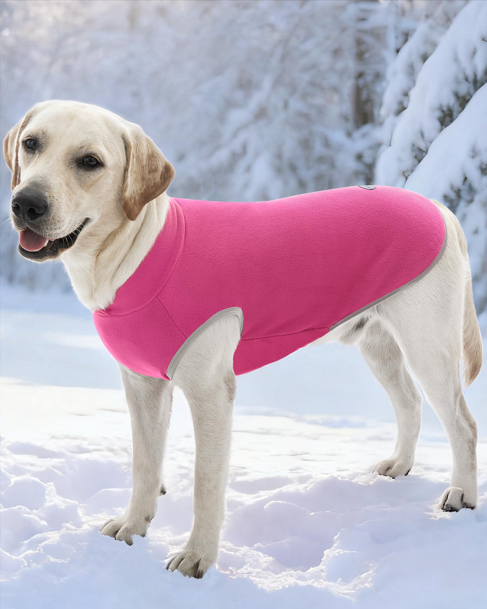 XPUDAC sueter perro uso diario en nieve, cálido y práctico.