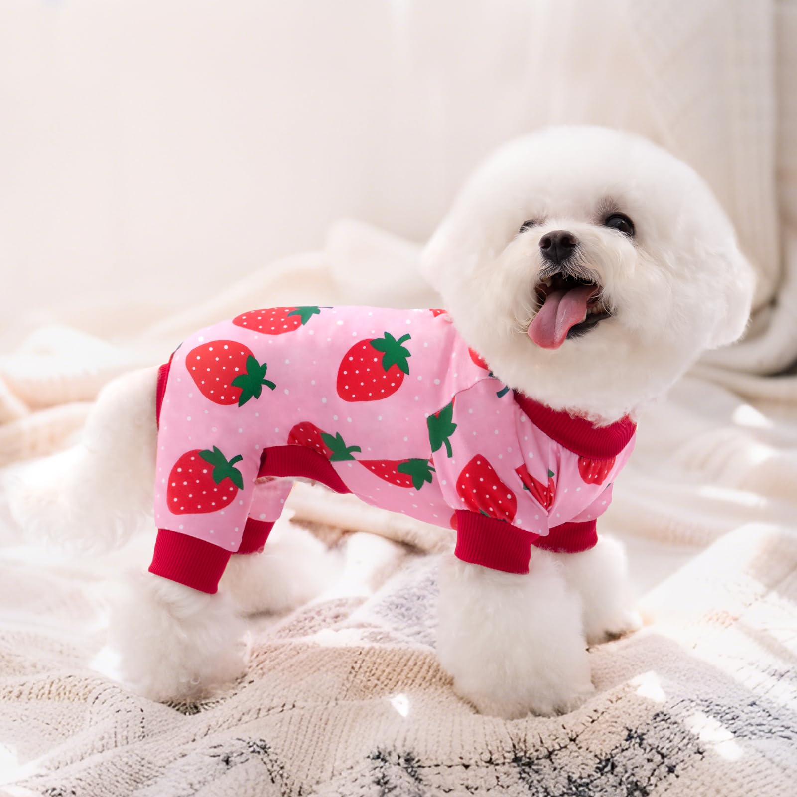 XPUDAC pijamas para perros pequeños con diseño divertido para convivencia familiar
