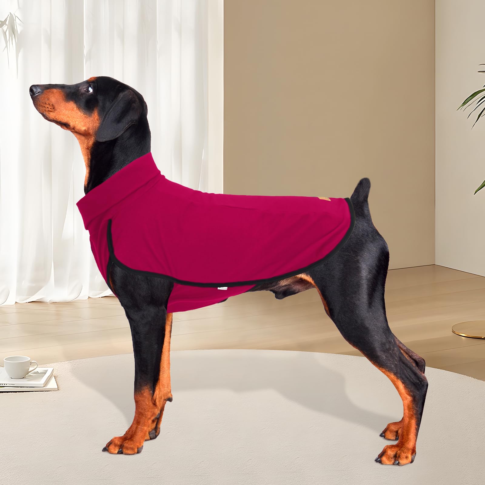XPUDAC sudadera para perro, diseño pullover fácil de colocar durante paseos.