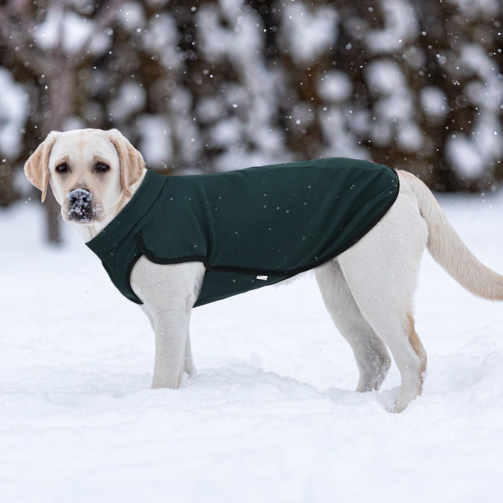 XPUDAC sudadera para perro, textura de forro polar suave y cómodo al tacto.